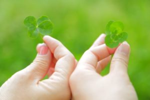 ふたつの四つ葉のクローバー