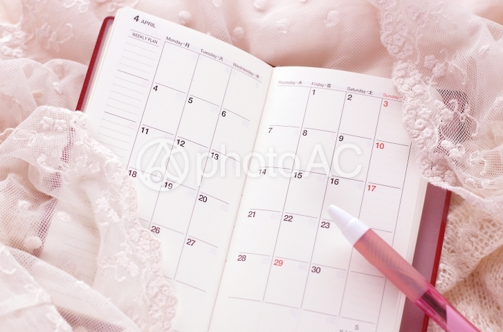 プロフィールムービー作成スケジュール