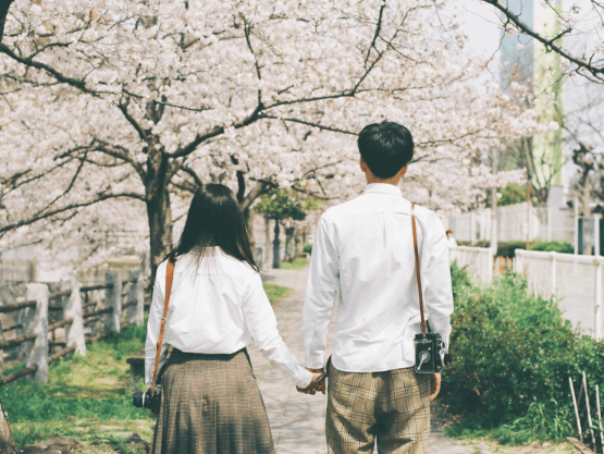 プロフィールムービーコメント